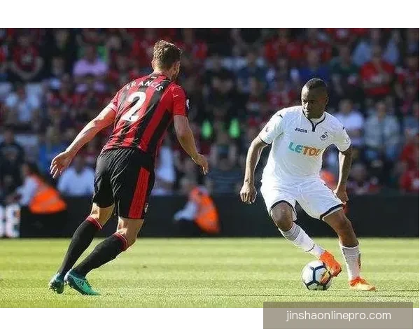 世界杯竞猜赔率分析与推荐助你精准预测精彩赛事结果